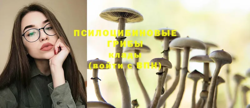 Галлюциногенные грибы MAGIC MUSHROOMS  Тосно 